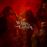White Coven - CD