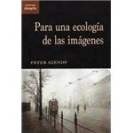 Para una ecología de las imágenes