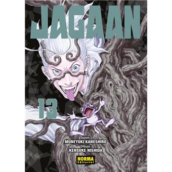 Jagaan 13
