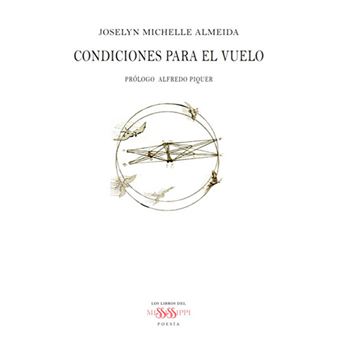 Condiciones para el vuelo