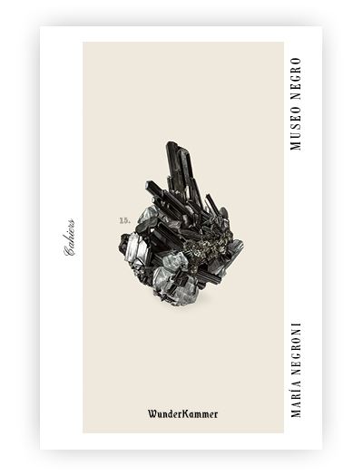 Wunderkammer Negro Museo - María Ni (Autor)