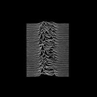 Many Faces of Joy Division (Ed. Box Set) - CD - Joy Division - Joy