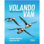 Volando van