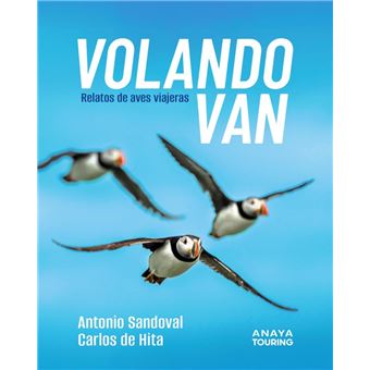 Volando van