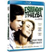 Esplendor en la hierba - Blu-Ray