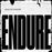 Endure - Vinilo