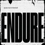 Endure - Vinilo