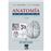 Anatomia humana t-4 11ed-
