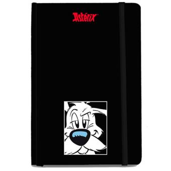 Cuaderno Magazzini Salini grande Astérix Ideafix - 1