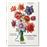 	A Garden Eden. Masterpieces of Botanical Illustration. 40th Ed.
