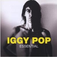 Essential Iggy Pop