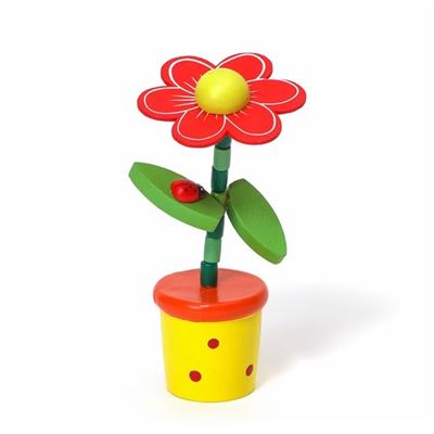 Flor crece crece nature et decouvertes - varios modelos