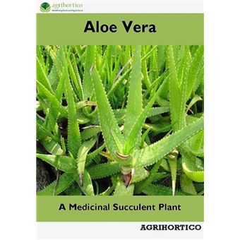 Aloe Vera: A Medicinal Succulent Plant - 1