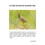 La Vida Secreta De La Perdiz Roja