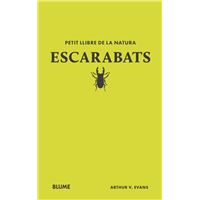 Petit llibre de la natura. Escarabats