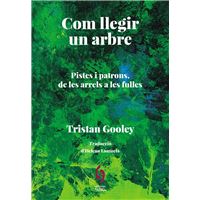 Com llegir un arbre