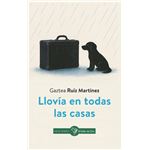 Llovia En Todas Las Casas