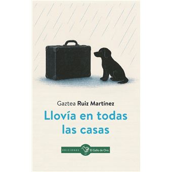 Llovia En Todas Las Casas