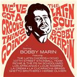 We'Ve Got a Groovy Thing Going - 2 Vinilos