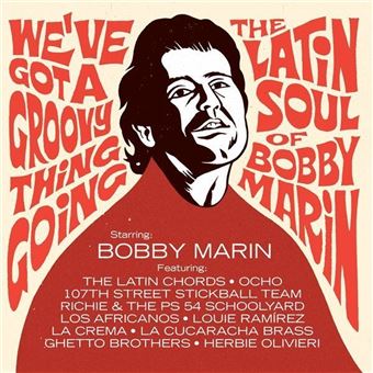 We'Ve Got a Groovy Thing Going - 2 Vinilos