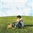 When We Were Younger - Vinilo