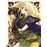 Record of Lodoss War: La corona del juramento