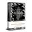 El Pozo de la Ascensión (edición limitada) (Trilogía Original Mistborn 2)