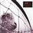 Vs. 30th Anniversary - 2 Vinilos Transparente