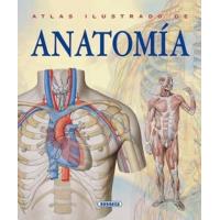 Anatomía