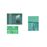 The Curated Lens