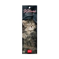 Calendario Legami 2026 Marcapag Kittens