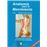 Anatomia Para El Movimiento I