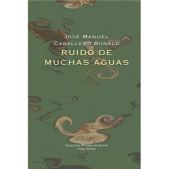 Ruido de muchas aguas