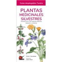 Lunario 2024: Una guía para adaptar tus plantas y cultivos a los ritmos del  cielo (temas de hoy) : Albandoz, Fosi, Pont, Gala: : Bücher