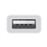Adaptador Apple de USB-C a USB Blanco
