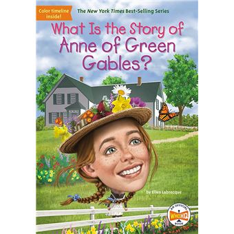 What Is The Story Of Anne Of Green