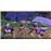 Indivisible Nintendo Switch_9