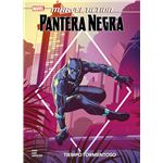 Marvel action pantera negra. tiempo tormentoso