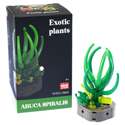 Nice mattoncini exotic plants abuca spiralis