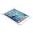 Apple iPad mini 4 16 GB WiFi Plata_1