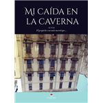 Mi caida en la caverna