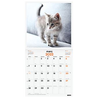 Calendario Superior 30x60