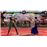 Virtua Fighter 5 R.E.V.O. World Stage 30th Anniversary Edition Nintendo Switch 2