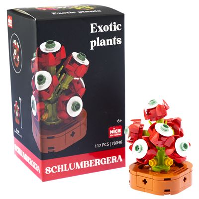 Nice mattoncini exotic plants schlumbergera