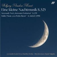 Mozart-Eine Kleine Nachtmus K525 - Vinilo