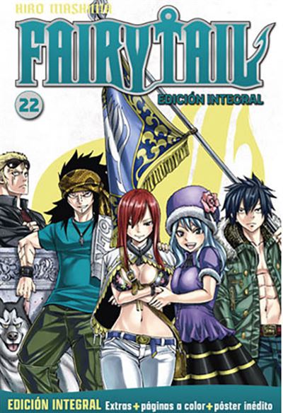 Fairy Tail 22