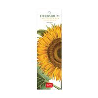 Calendario Legami 2026 Marcapag Herbarium