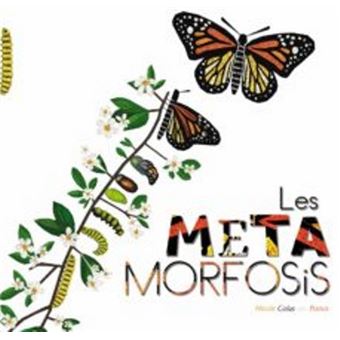 Les metamorfosis -cat- - 1