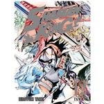 Shaman King 12