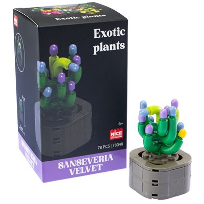 Nice mattoncini exotic plants sanseveria